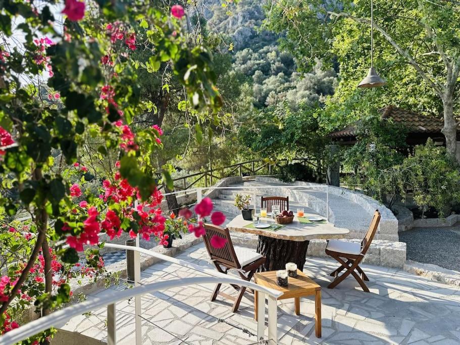 Elia Junior Suite In Epidavros With Shared Pool เนอา เอปิดาวรอส ภายนอก รูปภาพ